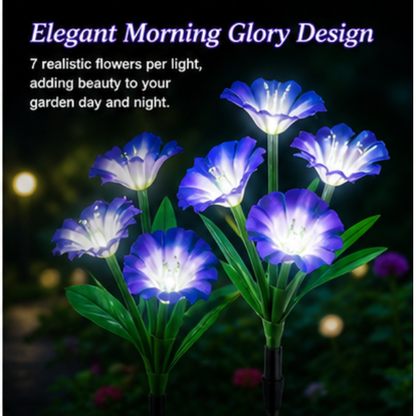 Solar Morning Glory Flower Lights- 2 Pack LED Garden Pathway Lights with 8 Lighting Modes